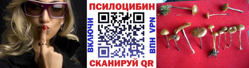 гидра tor  Старая Русса  Галлюциногенные грибы мицелий 