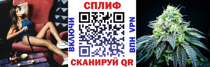 мориарти официальный сайт Старая Русса Каннабис THC 21%